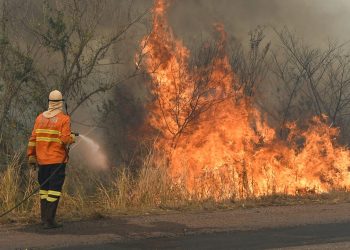 Rondônia registra menor número de queimadas da história e derruba recordes em 2025