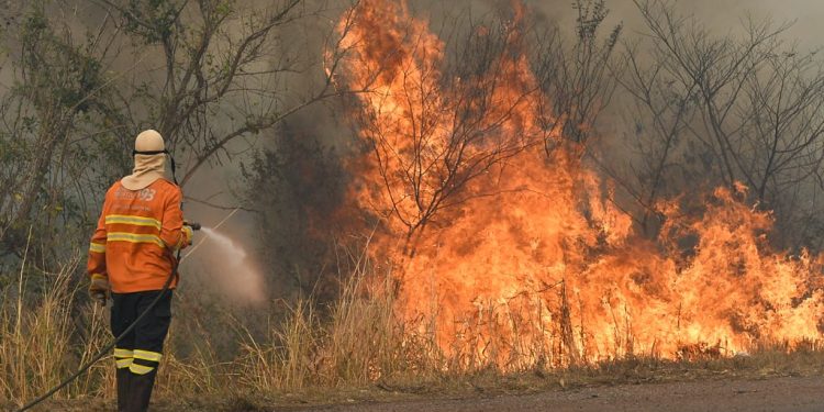 Rondônia registra menor número de queimadas da história e derruba recordes em 2025