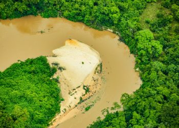 Operação “Defenestrado” desmonta esquema de invasão e exploração ilegal na Estação Ecológica de Samuel