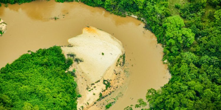 Operação “Defenestrado” desmonta esquema de invasão e exploração ilegal na Estação Ecológica de Samuel
