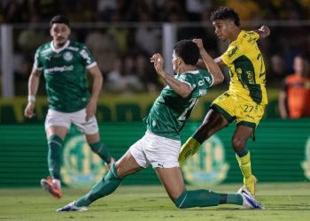 Mirassol vence o Palmeiras por 2 a 1 e Flamengo encosta na liderança do Brasileirão