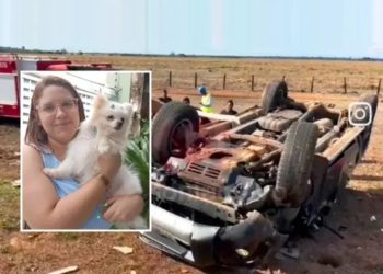 Família faz apelo por devolução de cadelinha levada após acidente que deixou mãe e filhas feridas na BR-364