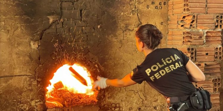 Polícia Federal incinera cerca de 1,2 tonelada de drogas em Porto Velho