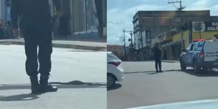 Cobra interrompe trânsito no Centro de Porto Velho e mobiliza policiais