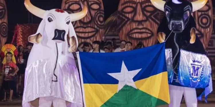 Duelo na Fronteira começa nesta sexta e celebra a tradição dos bois-bumbás em Guajará-Mirim