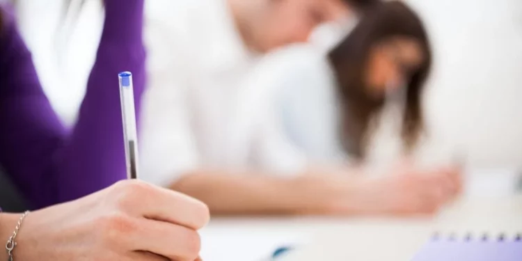 Último dia para inscrição em vaga de veterinário em Jaru