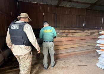PF, Ibama e Funai desmontam garimpo e apreendem madeira ilegal em Rondônia