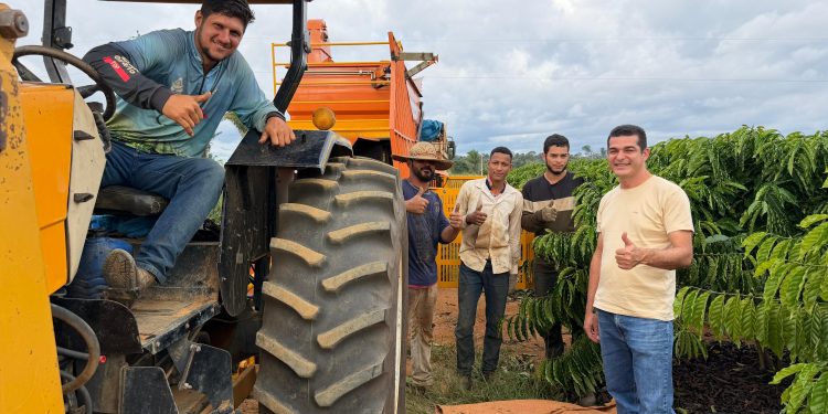 Vereador Adalto destaca crescimento da cafeicultura e modernização no campo durante visita à Linha P.O