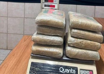 PF apreende cerca de 9 kg de skunk em aeroporto de Porto Velho e prende passageiro em flagrante