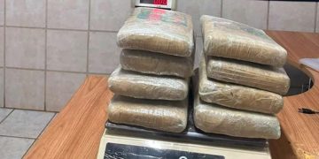 PF apreende cerca de 9 kg de skunk em aeroporto de Porto Velho e prende passageiro em flagrante